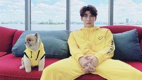 吃瓜老头沈腾,揭秘娱乐圈背后的故事