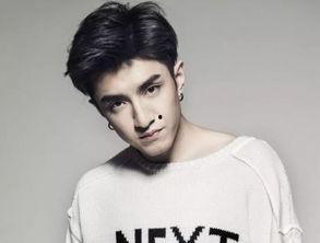 近代姓林的明星男,揭秘林姓明星男子的璀璨人生