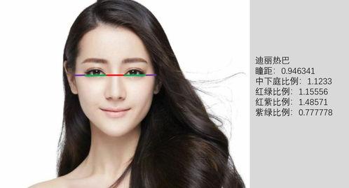 女明星三庭五眼,揭秘明星脸蛋的秘密