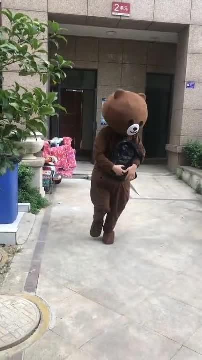 网红熊出门,网红熊的户外探险之旅