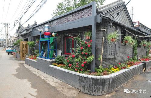 2025年1月高招S最新爆料,揭秘高招政策新动向与热门专业趋势