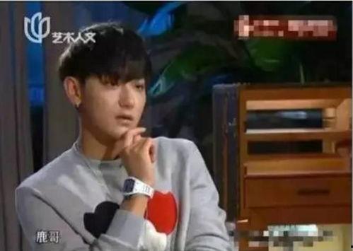 娱乐大爆料黄晓明鹿晗,揭秘娱乐圈背后的精彩瞬间