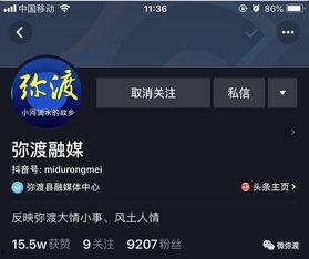 今日头条算不算官媒,揭秘其官方媒体身份的演变与影响