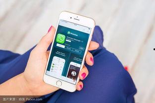 五感图手机在线观看版,身临其境的感官盛宴