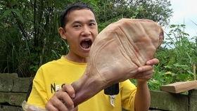 刘大个吃瓜,揭秘娱乐圈背后的那些事儿