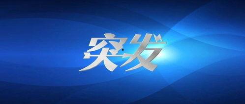 五周年最新爆料新闻事件,重磅新闻事件幕后真相揭晓