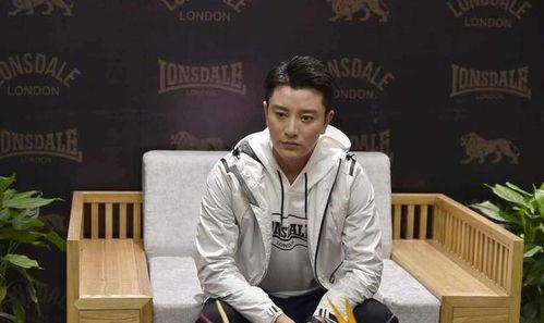 贾乃亮明星薪酬,揭秘娱乐圈高收入背后的真相