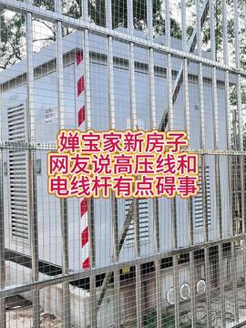 湛江头条宰猪,惊现宰猪事件，背后真相引人关注