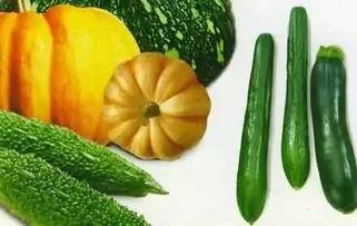 夏日吃瓜写真,瓜果飘香——夏日吃瓜写真集