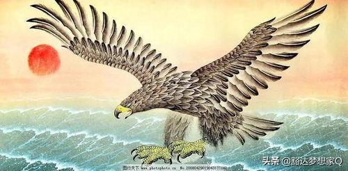 今日头条大鹏展翅图片,翱翔天际的壮美画卷