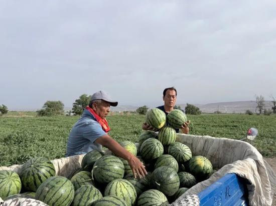 张三炮吃瓜,揭秘娱乐圈幕后风云
