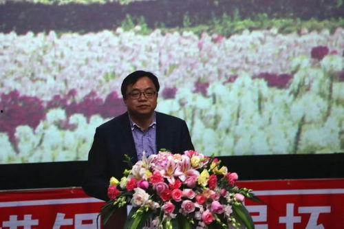 冷杉良田新闻头条,揭秘神秘冷杉良田背后的故事