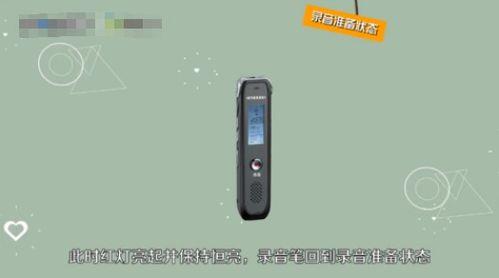 头条录音笔哪个好用,揭秘哪款录音笔更胜一筹？”