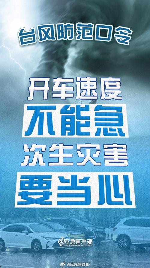 沈阳台风今日头条最新