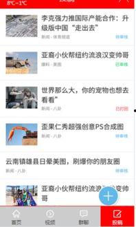 头条双十一搞笑视频,笑点满满，购物狂欢背后的欢乐瞬间