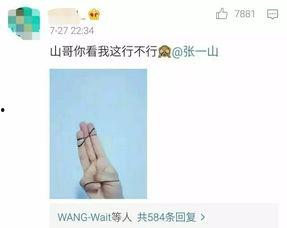 明星的奇葩手势图片,盘点那些让人哭笑不得的奇葩手势