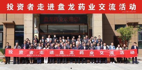 盘龙区金泉镇新闻头条,聚焦发展新动态，共绘美好未来画卷