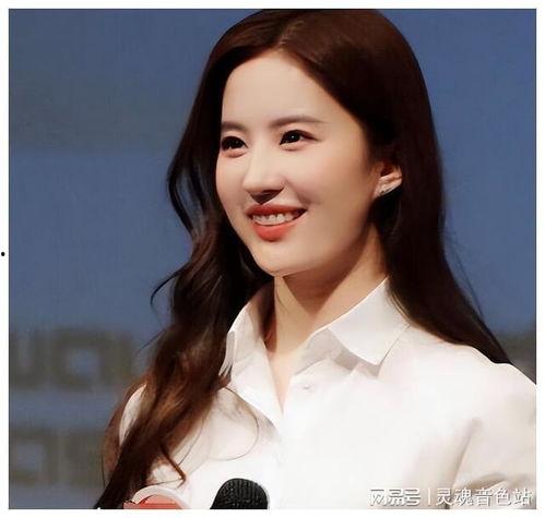 外藉中国明星,闪耀东方的魅力之旅