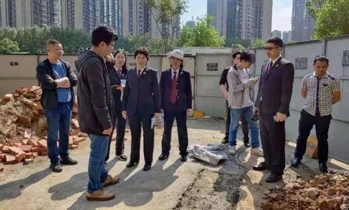 浮生为情歌吃瓜群众,揭秘吃瓜群众的情感世界