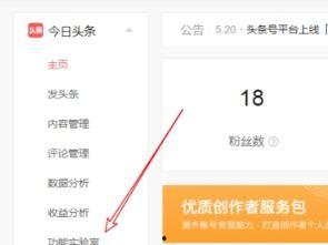 头条小店怎么设置流量,轻松设置，高效吸粉
