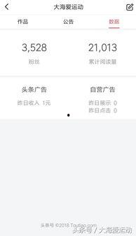 头条怎么显示收入,揭秘如何轻松实现月入过万