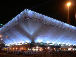 网红馆总馆,揭秘潮流聚集地的魅力与风采