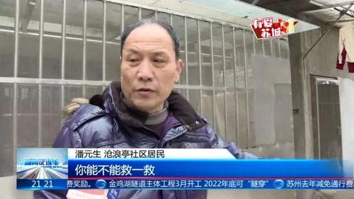 网红环卫金毛救人,网红环卫犬勇救落水老人