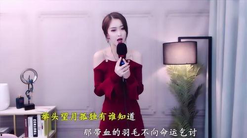 好听的网红歌曲伴奏女,女生们的音乐狂欢之旅