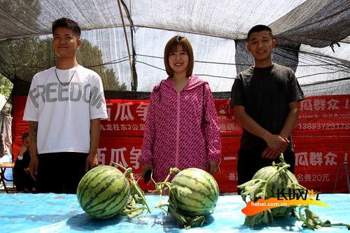河北吃瓜协会,揭秘地方特色美食文化新潮流