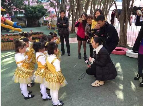 致自己对头条的印象,资讯海洋中的璀璨明珠