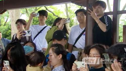 西湖邵大爷实力爆料视频