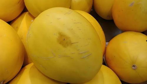 吃瓜是黄色吗,揭秘日常生活中的色彩奥秘